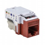 RJ45FC6-RED Picture